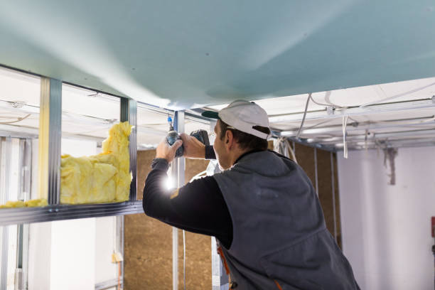 Insulation Inspection Services in Zephyrhills West, FL