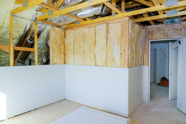 Best Insulation Repair Services  in Zephyrhills West, FL
