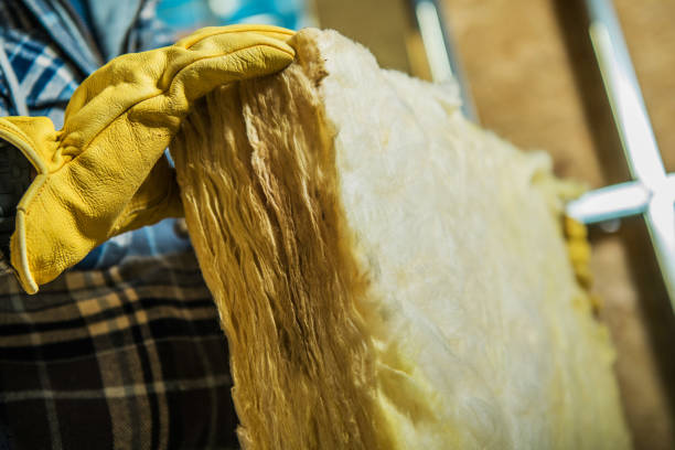 Best Soundproof Insulation Installation  in Zephyrhills West, FL