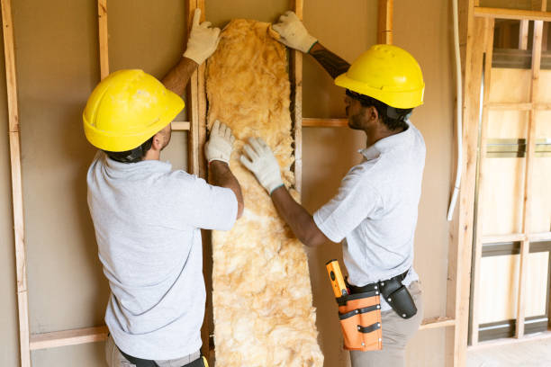 Attic Insulation Near Me in Zephyrhills West, FL