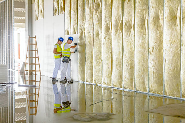 Insulation Repair Services in Zephyrhills West, FL